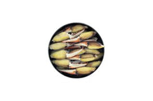 Load image into Gallery viewer, Finger Bites (Canned Blue Crab Meat)